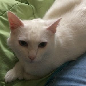 Meet your Posher, Rebecca